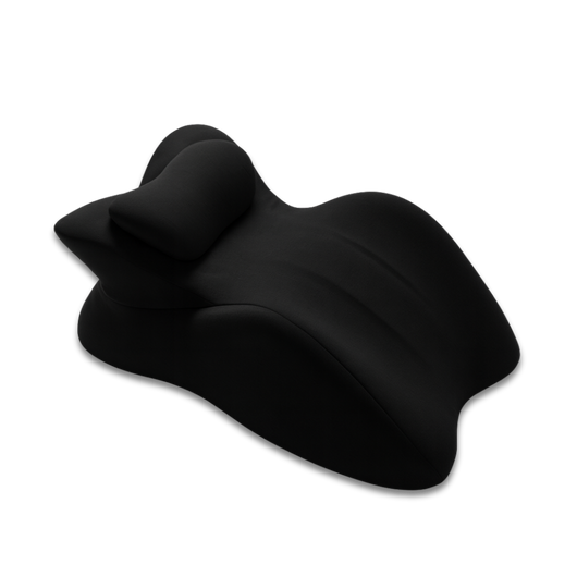 Premium Washable Pillow Case